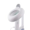 2 in 1 Facial Steamer with 5X Magnifying Lamp, Esthetician Steamer Professional Aromatherapy Humidifier Face Spa Mist Steam for Home Beauty Salon